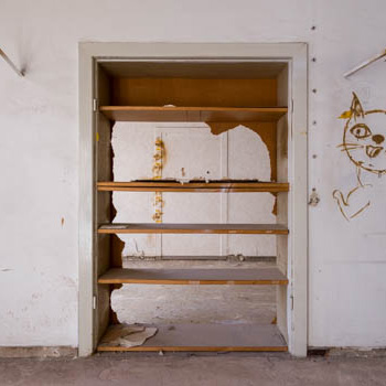 Empty bookshelves with graffiti cat