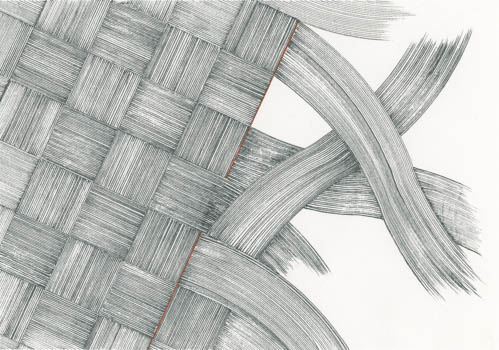 Web of black lines with red center line